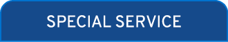 SPECIAL SERVICE