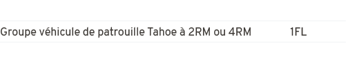 Groupe v hicule de patrouille Tahoe  2RM ou 4RM 1FL