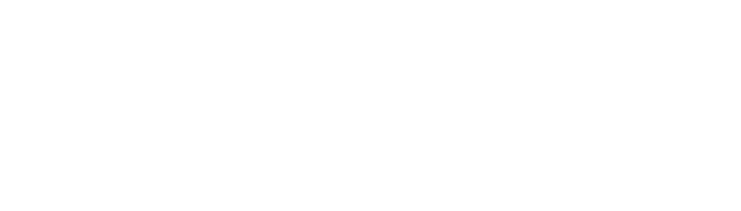 GUIDE DES PARCS DE V HICULES