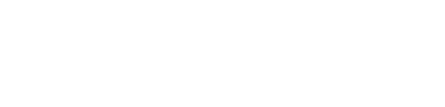 ﻿HOW TO USE THIS GUIDE