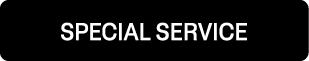 SPECIAL SERVICE