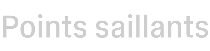 Points saillants