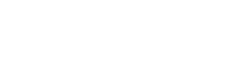 Fleet Guide