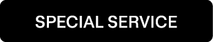 SPECIAL SERVICE