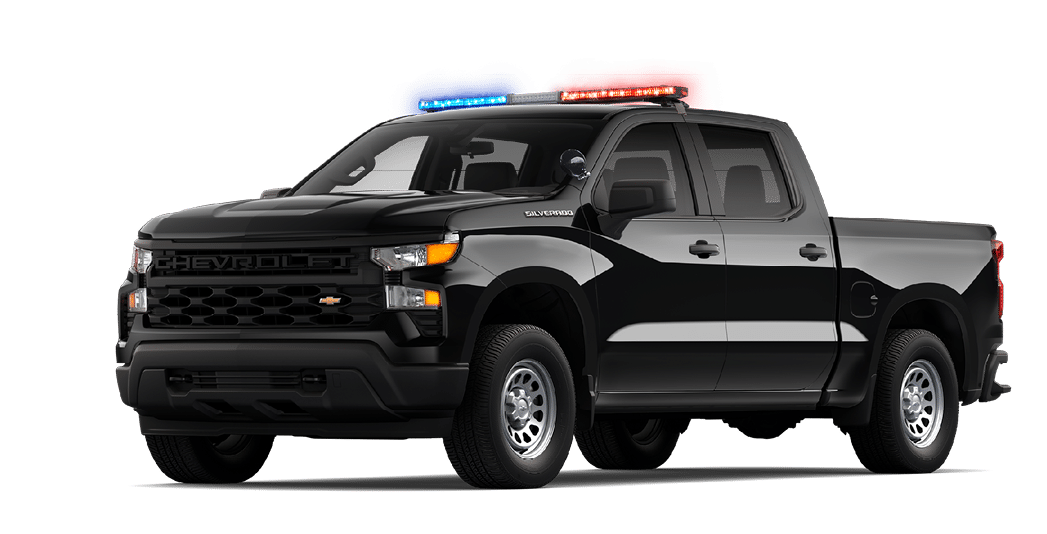 A black truck with a blue stripe on the side. Description generated by AI