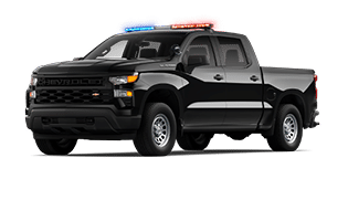 A black truck with a blue stripe on the side. Description generated by AI